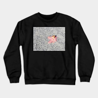 Dropped Crewneck Sweatshirt